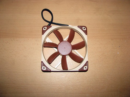 IMG_7240